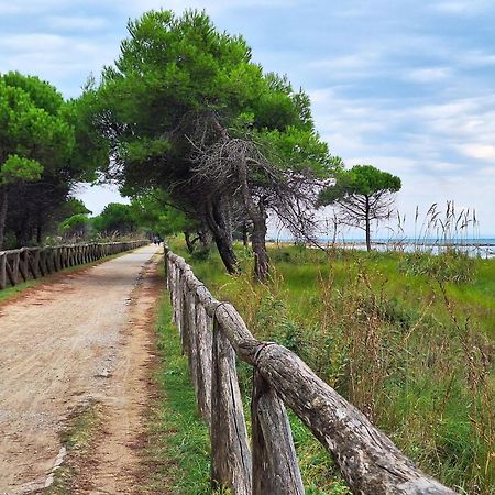 Beautiful Apartment Close To Bibione Beach - Beahost Eksteriør billede