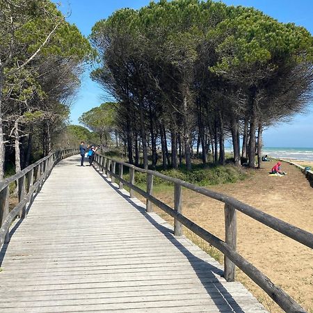 Beautiful Apartment Close To Bibione Beach - Beahost Eksteriør billede