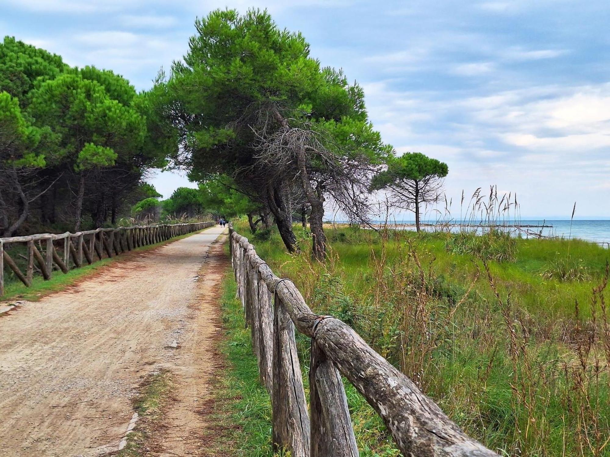 Beautiful Apartment Close To Bibione Beach - Beahost Eksteriør billede
