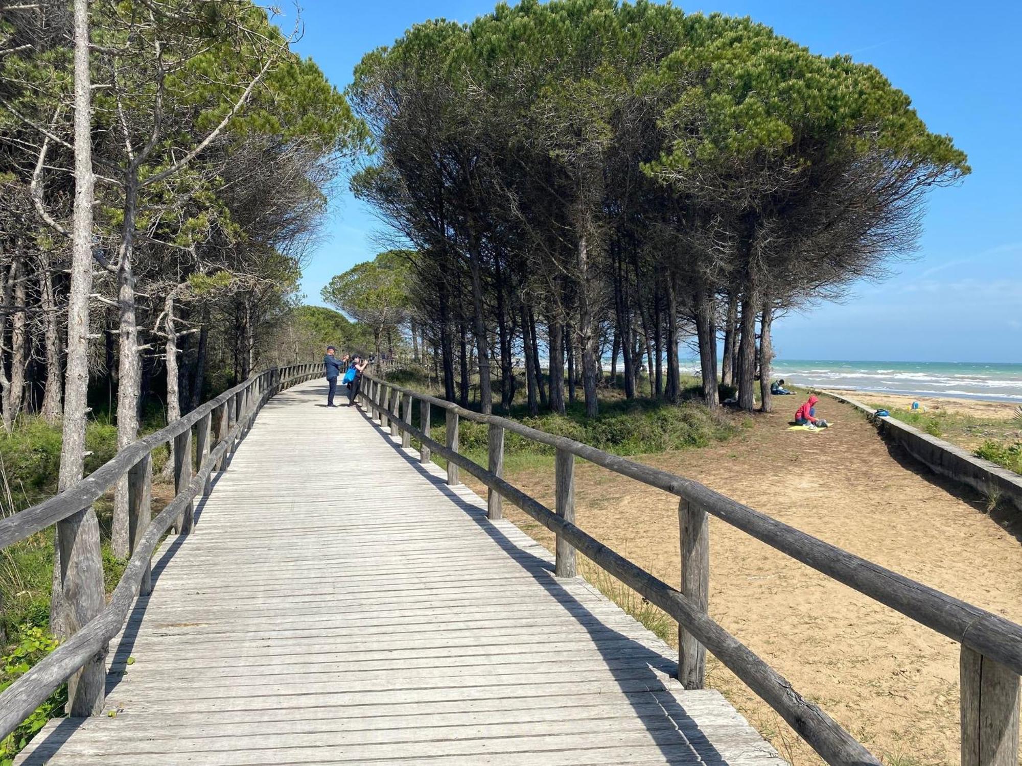 Beautiful Apartment Close To Bibione Beach - Beahost Eksteriør billede